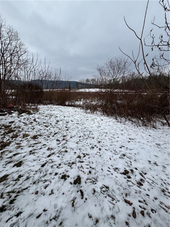 286 Church Street Tioga, NY 13734 - Photo 6 of 15