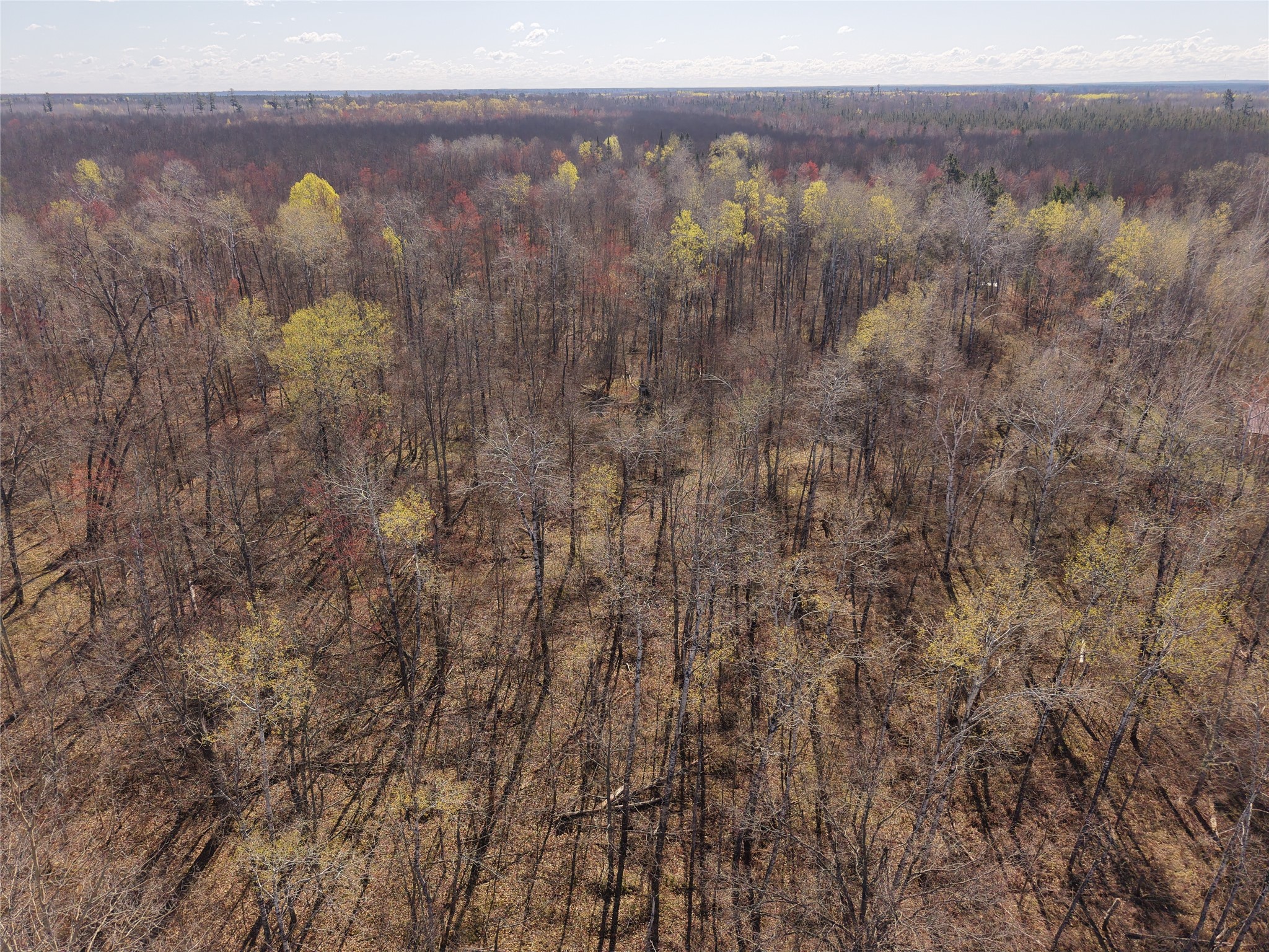 15138 Crotte Brook Road Danbury, WI 54830 - Photo 34 of 60