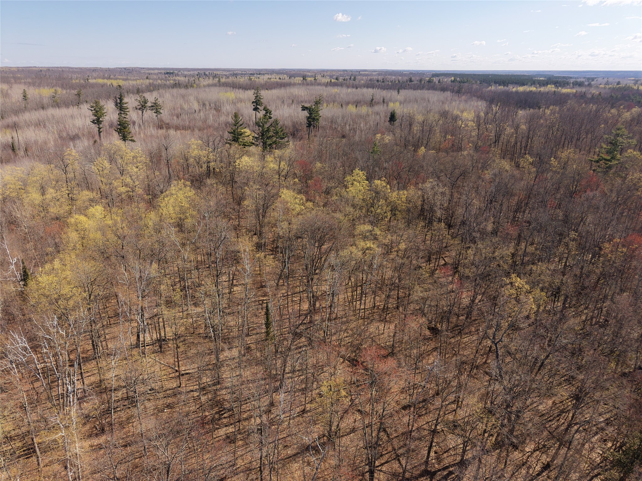 15138 Crotte Brook Road Danbury, WI 54830 - Photo 38 of 60