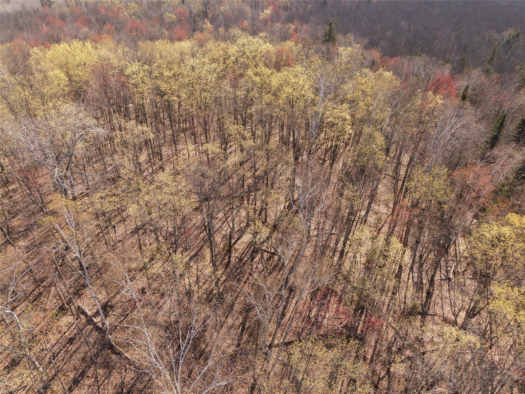 15138 Crotte Brook Road Danbury, WI 54830 - Photo 40 of 60