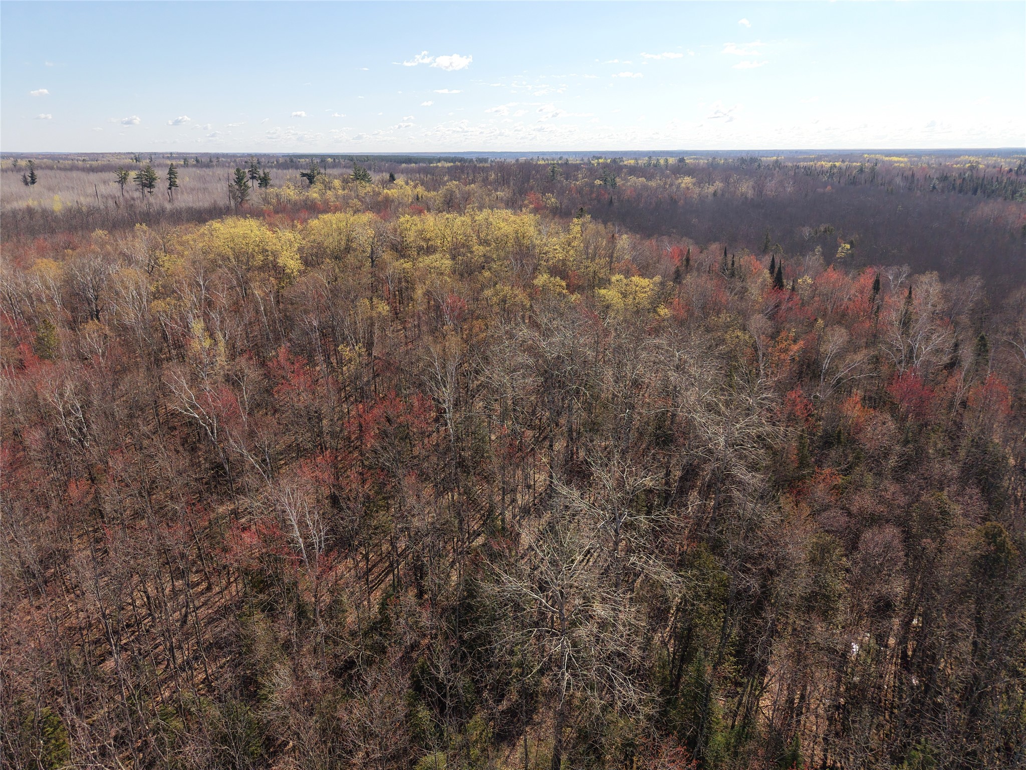 15138 Crotte Brook Road Danbury, WI 54830 - Photo 41 of 60