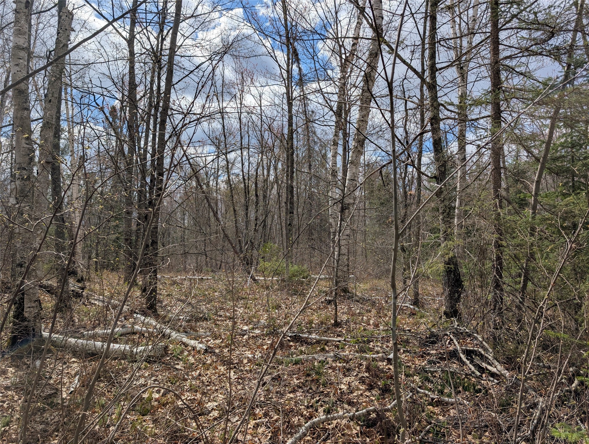 15138 Crotte Brook Road Danbury, WI 54830 - Photo 44 of 60