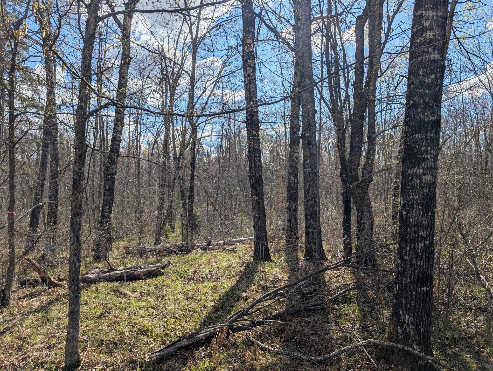 15138 Crotte Brook Road Danbury, WI 54830 - Photo 49 of 60