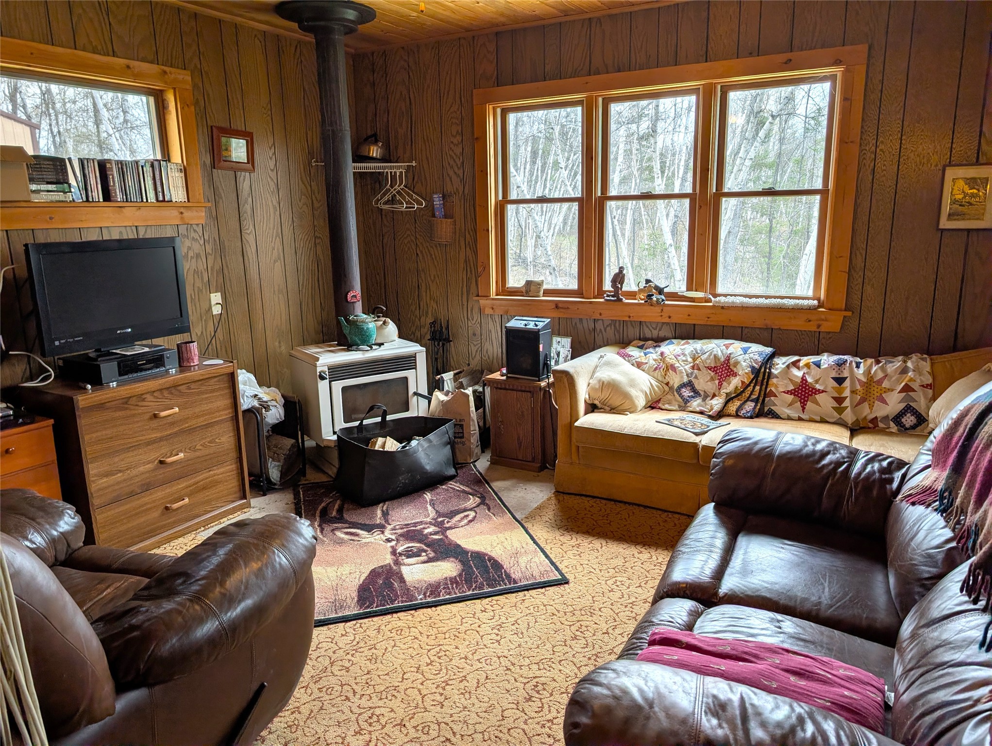 15138 Crotte Brook Road Danbury, WI 54830 - Photo 6 of 60