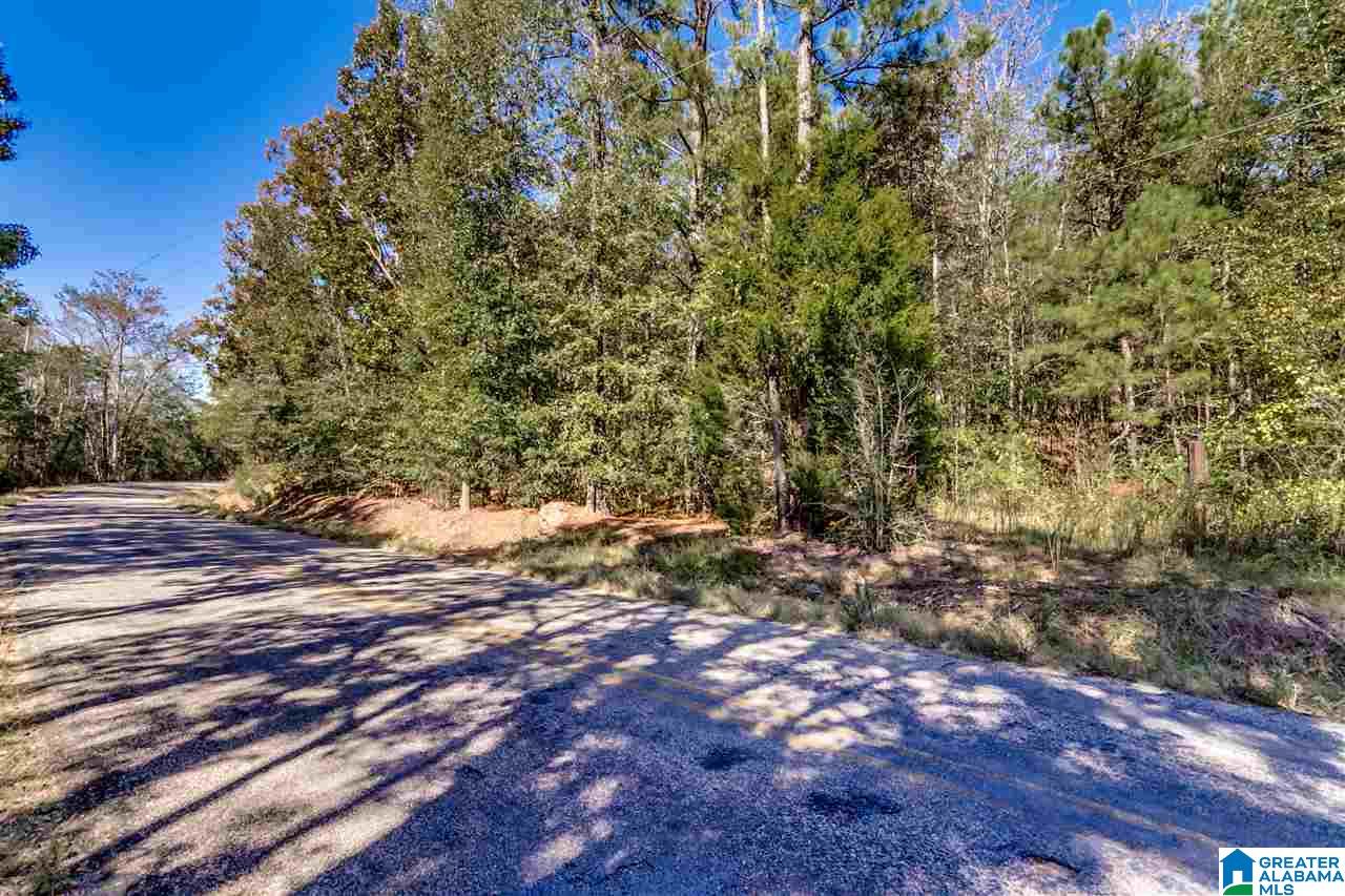 384 Wolf Pond Road, Unit 1 Talladega, AL 35160 - Photo 9 of 26