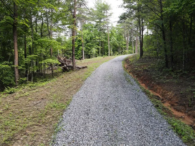 a view of a trees with a yard