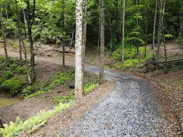 a view of a city with lush green forest