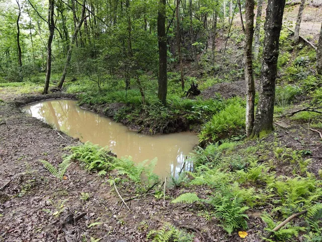 a view of a road with a yard