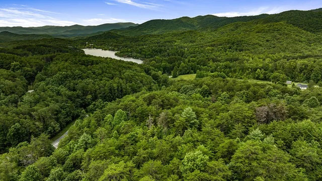 a view of a street with a yard and a large tree