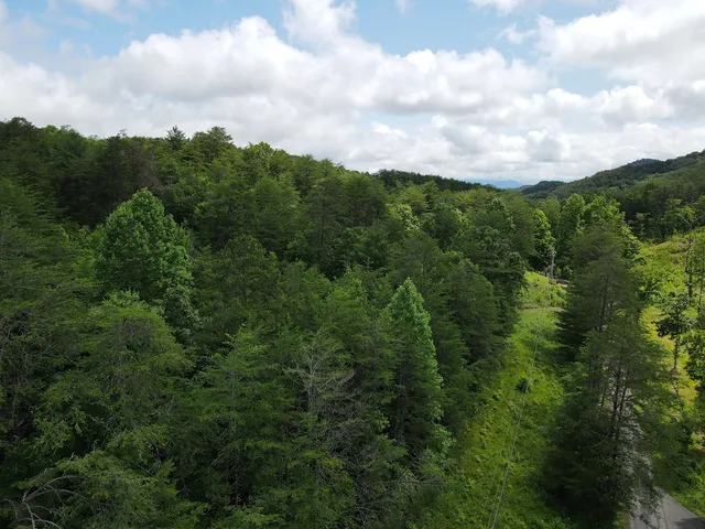 $525,000 | 0 Stiles Road, Turtletown, TN 37391