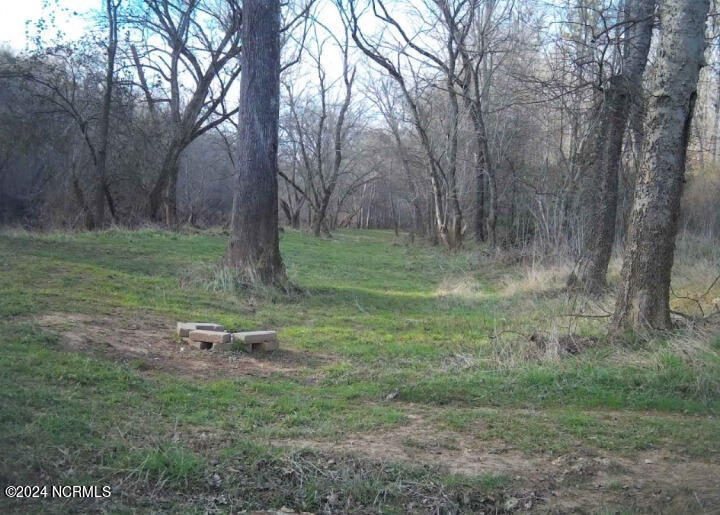 3484 Chatham Church Road Moncure, NC 27559 - Photo 12 of 18 1