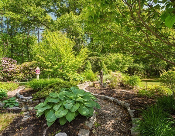 7 Brent Road Lexington, MA 02420 - Photo 13 of 14 a view of a large tree with lots of trees