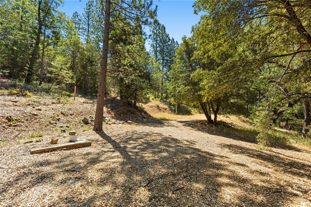 7859 Reed Lane Rackerby, CA 95972 - Photo 21 of 22