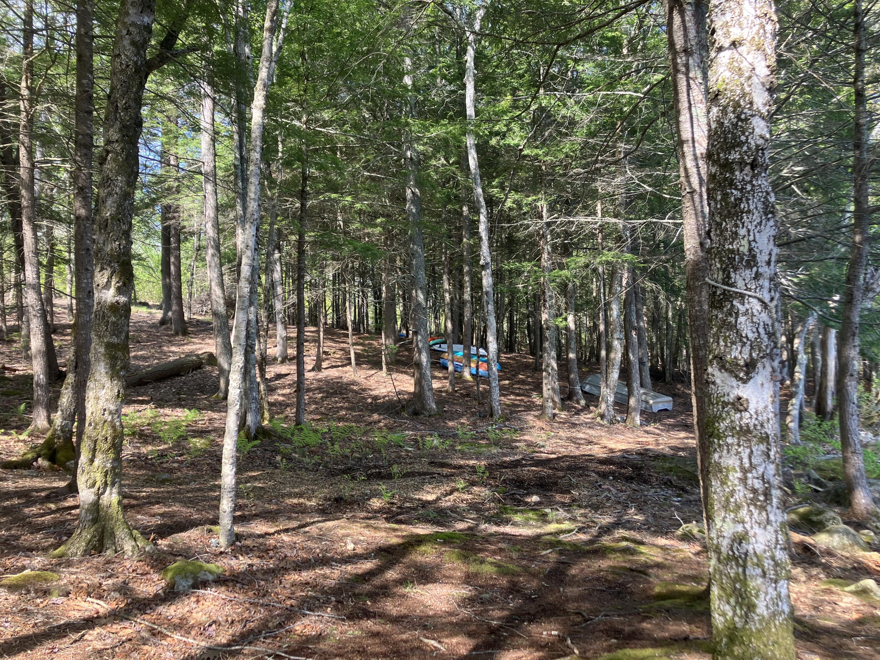 148 Niilo Hill Road Warren, ME 04864 - Photo 8 of 15 IMG_7100
