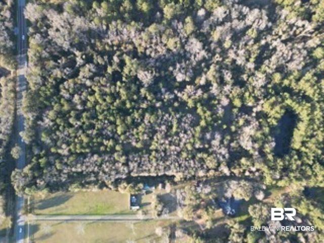 0 County Road 65 Foley, AL 36535 - Photo 3 of 4 Drone / aerial view