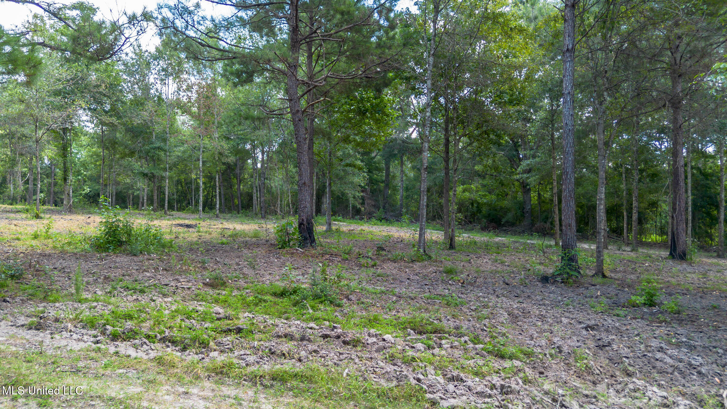 West McHenry Road McHenry, MS 39561 - Photo 11 of 20 0 W McHenry (19)