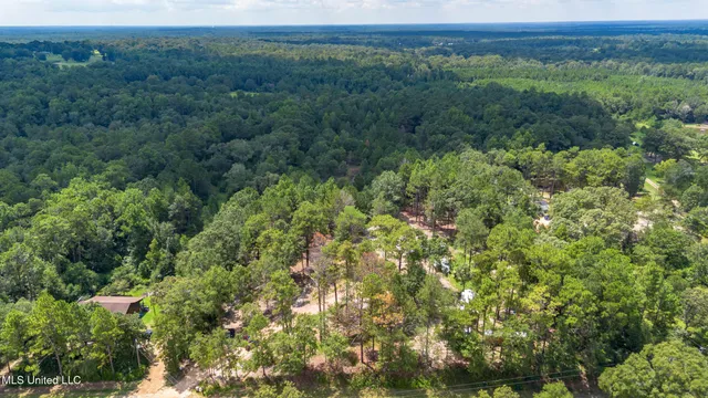 $175,000 | West McHenry Road, McHenry, MS 39561