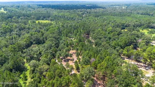 $175,000 | West McHenry Road, McHenry, MS 39561