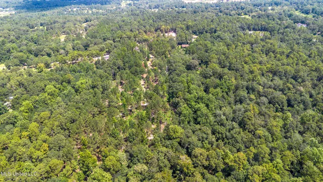 $175,000 | West McHenry Road, McHenry, MS 39561