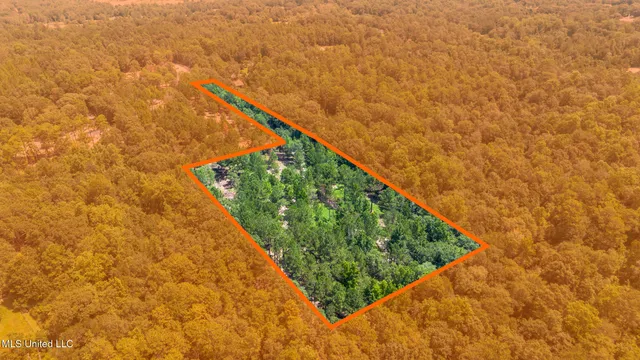 $175,000 | West McHenry Road, McHenry, MS 39561