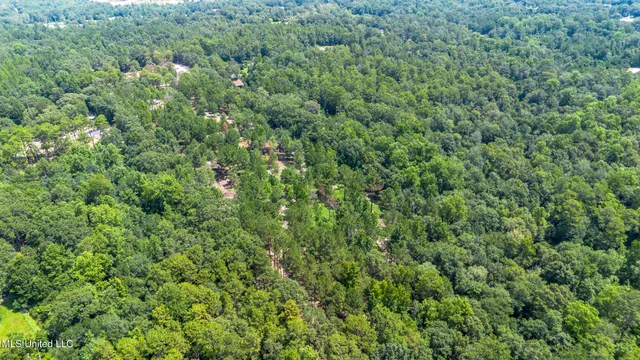 $175,000 | West McHenry Road, McHenry, MS 39561