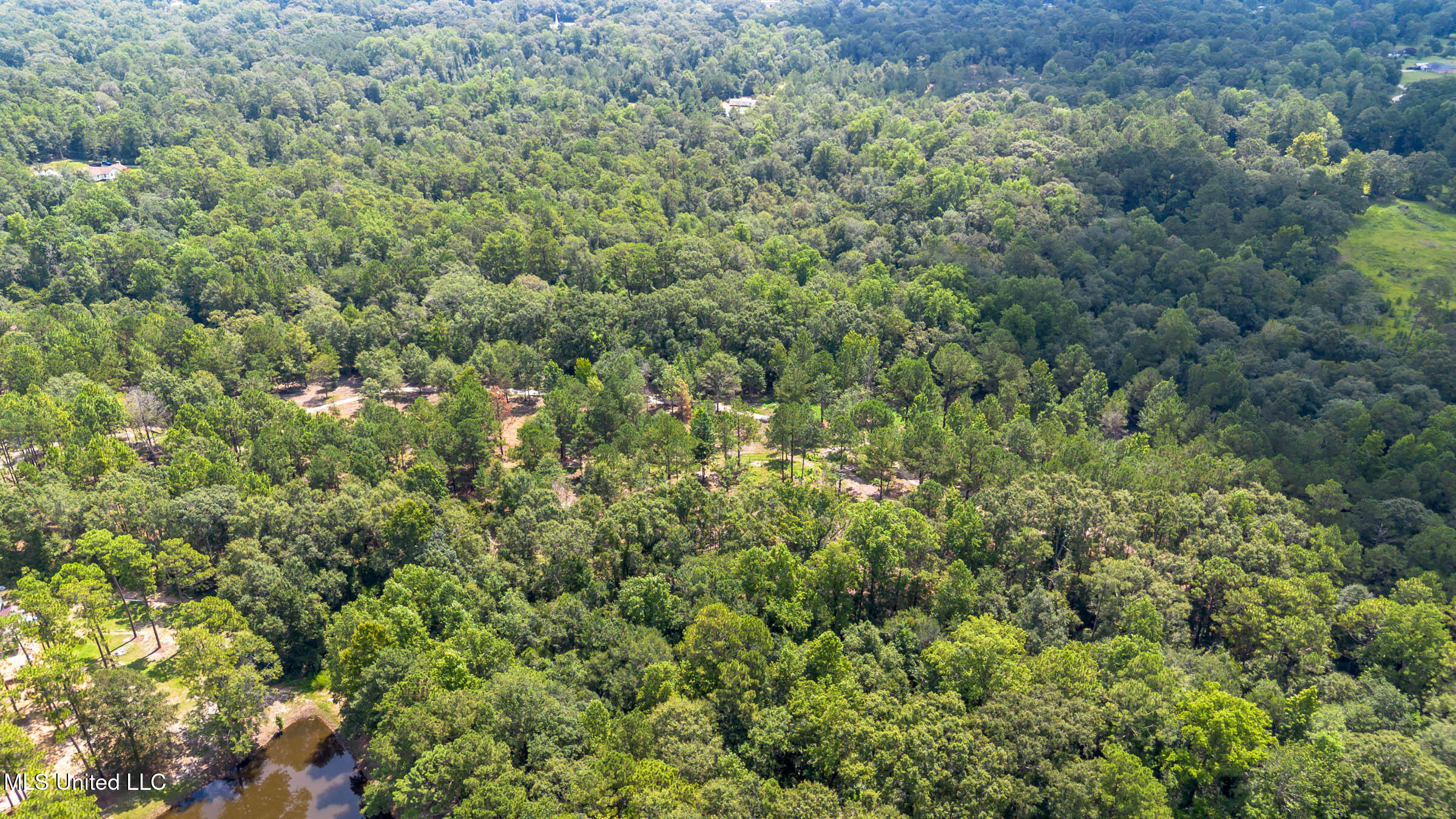 West McHenry Road McHenry, MS 39561 - Photo 20 of 20 0 W McHenry (8)