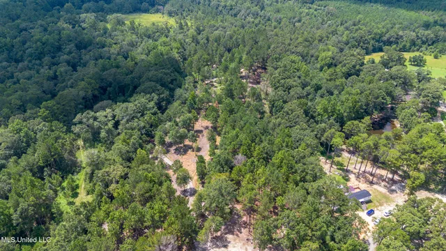 $175,000 | West McHenry Road, McHenry, MS 39561