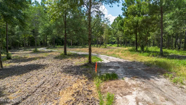 $175,000 | West McHenry Road, McHenry, MS 39561
