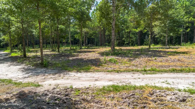 $175,000 | West McHenry Road, McHenry, MS 39561