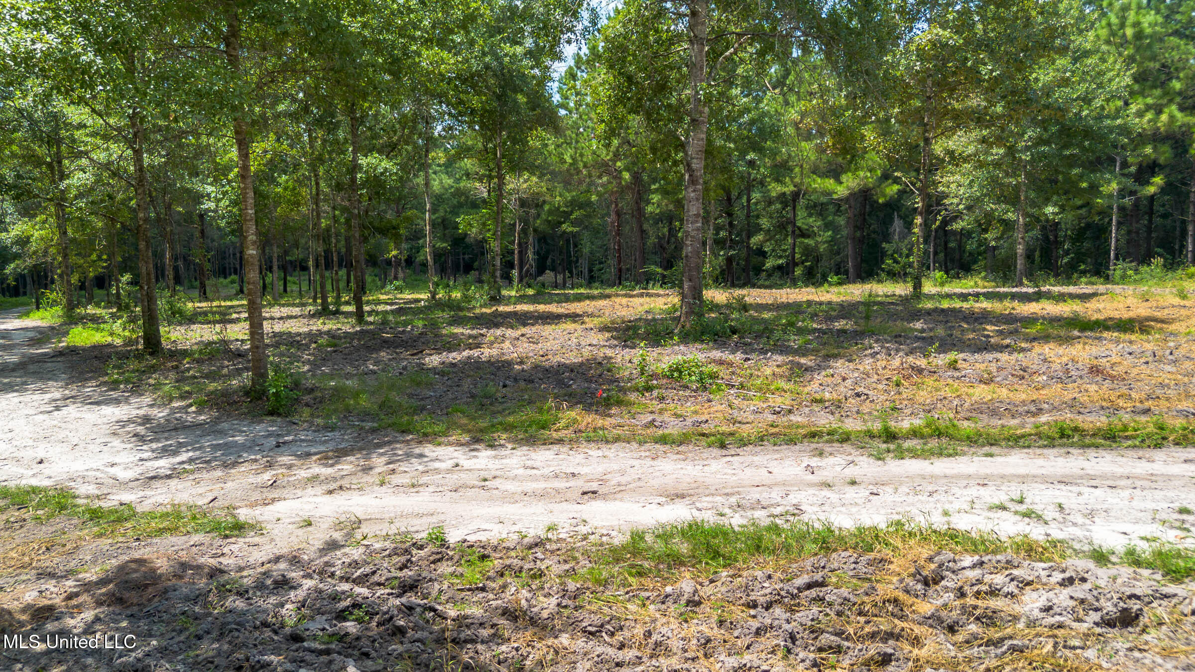West McHenry Road McHenry, MS 39561 - Photo 6 of 20 0 W McHenry (14)