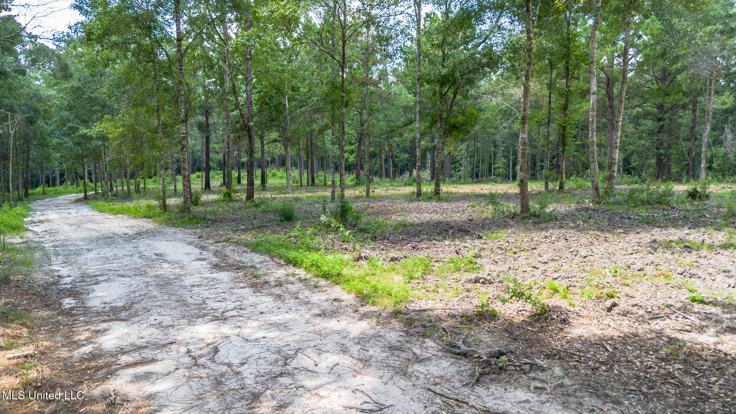 West McHenry Road McHenry, MS 39561 - Photo 7 of 20 0 W McHenry (15)