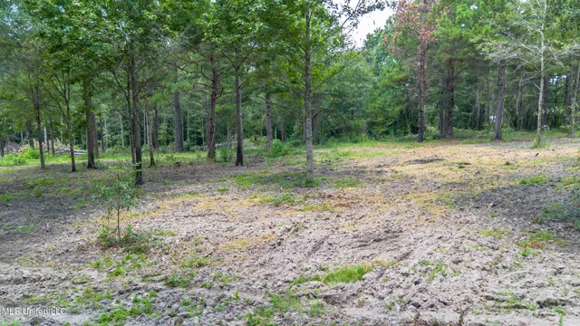 $175,000 | West McHenry Road, McHenry, MS 39561
