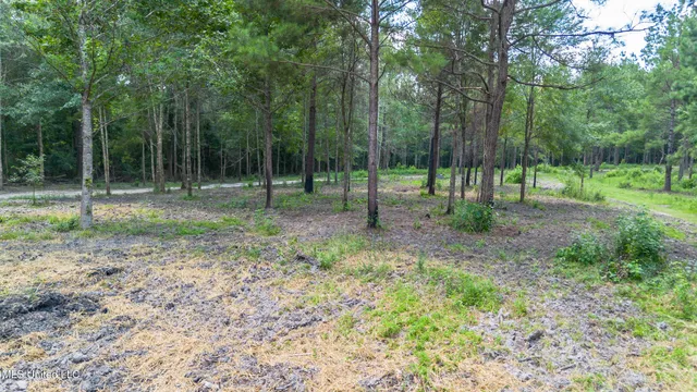 $175,000 | West McHenry Road, McHenry, MS 39561