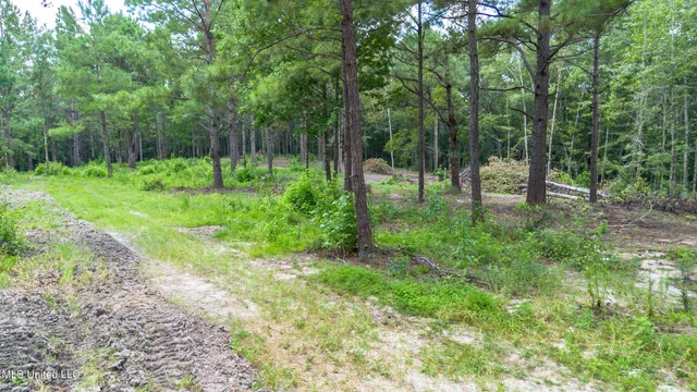 $175,000 | West McHenry Road, McHenry, MS 39561