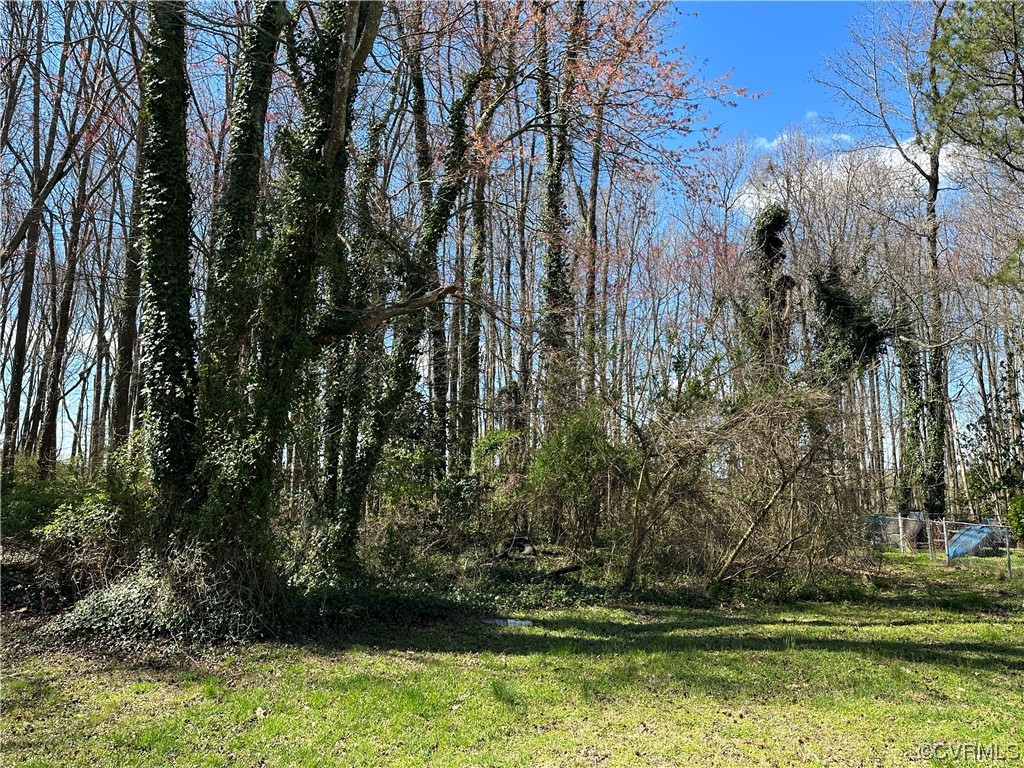 890 Shell Road Hampton, VA 23661 - Photo 1 of 7 a view of backyard with green space