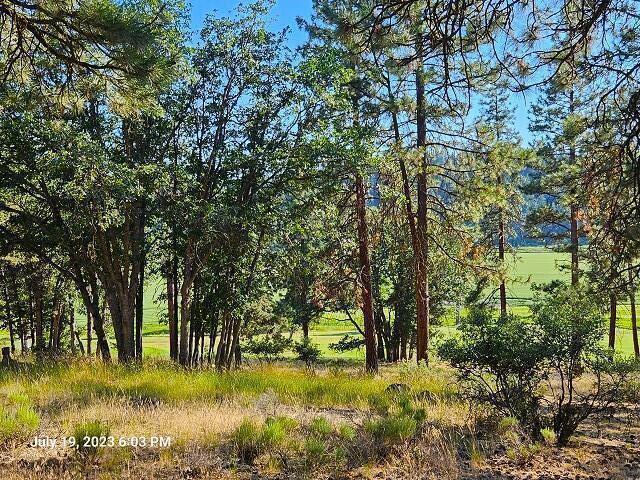 Lot 103 Merganser Road Klamath Falls, OR 97601 - Photo 1 of 6 4
