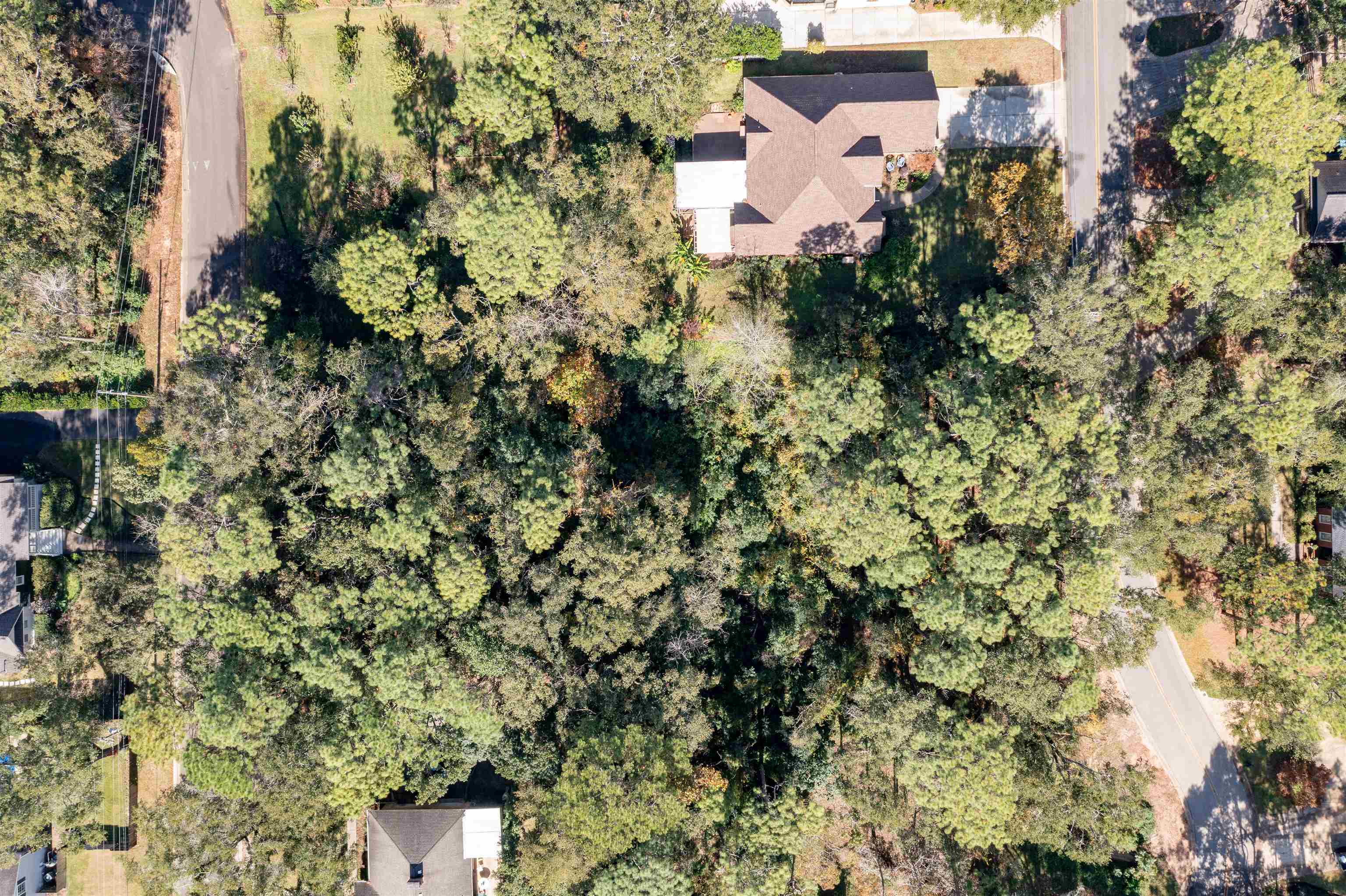 0 Myrtle Street Fairhope, AL 36532 - Photo 13 of 13