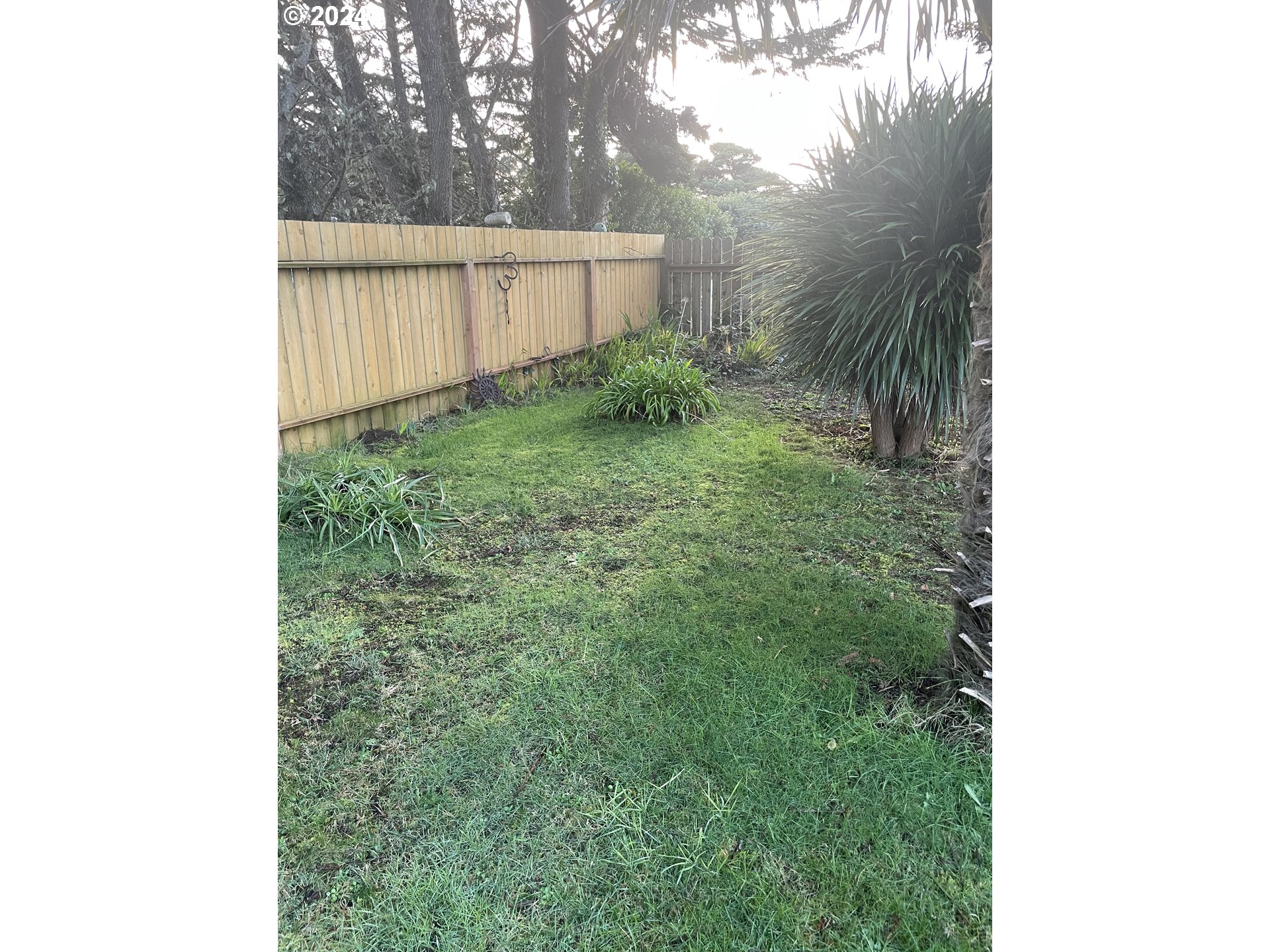 55096 Harrison Road Southwest Bandon, OR 97411 - Photo 30 of 34 a backyard of a house