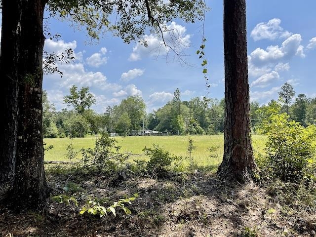 71290 Ralph Gantt Road Little River, AL 36550 - Photo 10 of 31