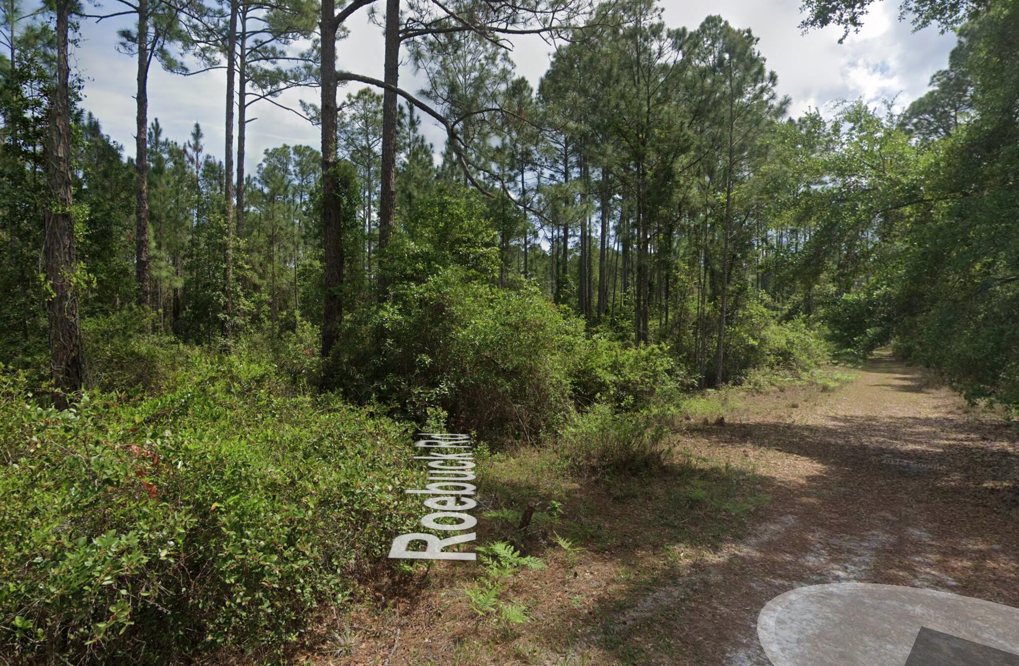 126 Roebuck Road Georgetown, FL 32139 - Photo 3 of 4 Screen Shot 2024-06-01 at 9.41.15 AM