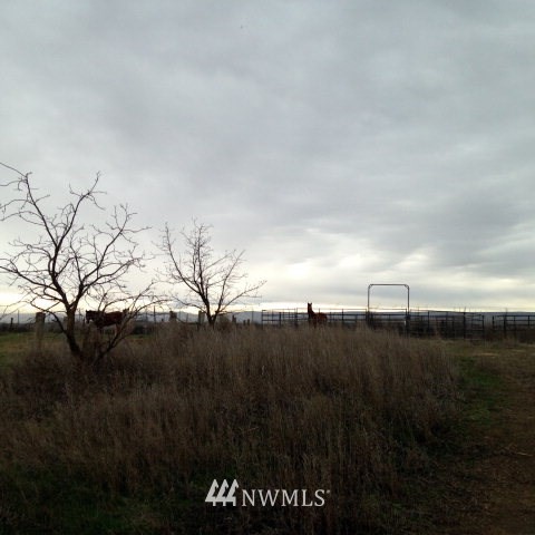 699 Mckay Road Touchet, WA 99360 - Photo 24 of 24