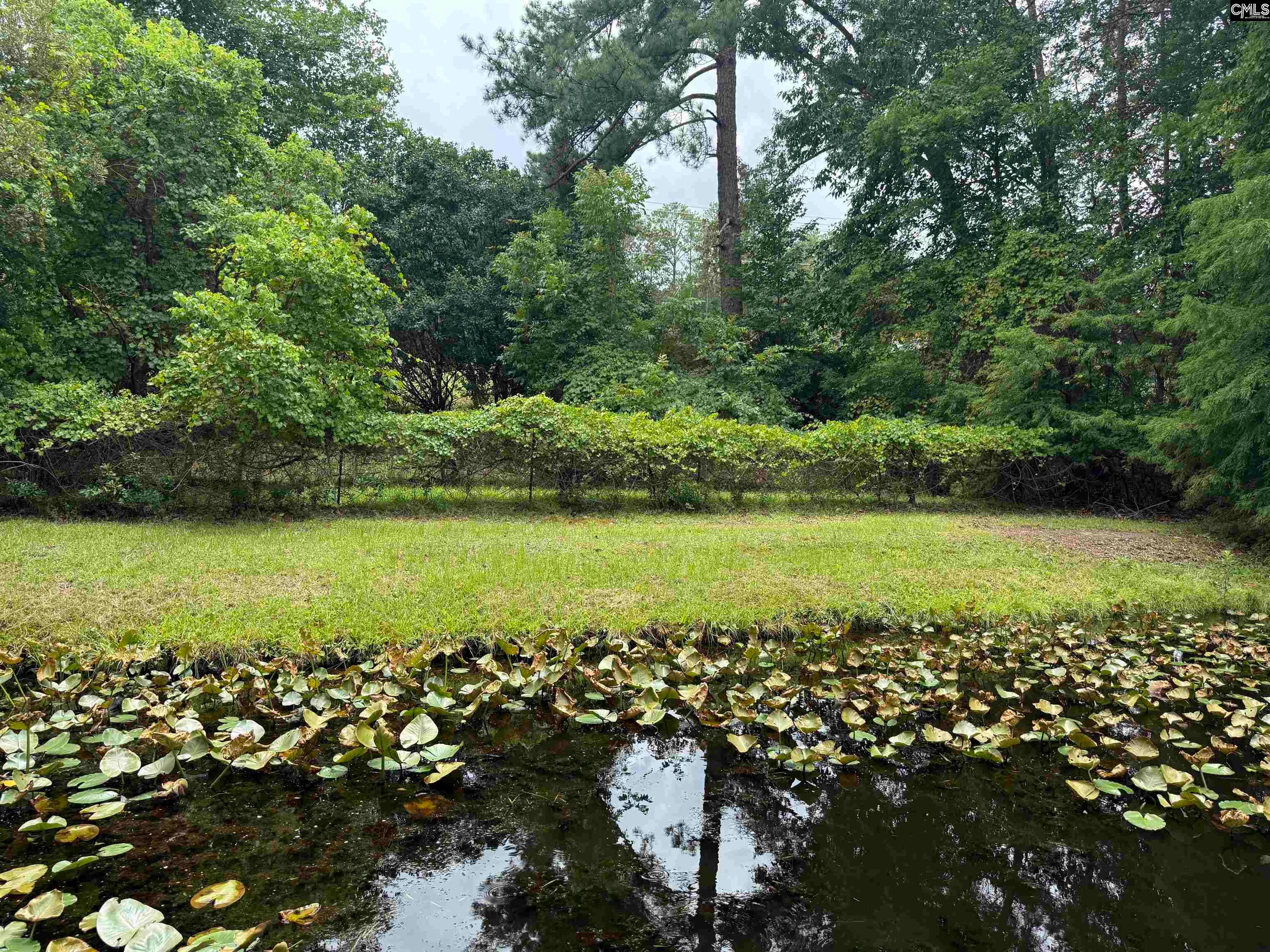 623 Jacobs Millpond Road Elgin, SC 29045 - Photo 11 of 44 Gallery Image 11