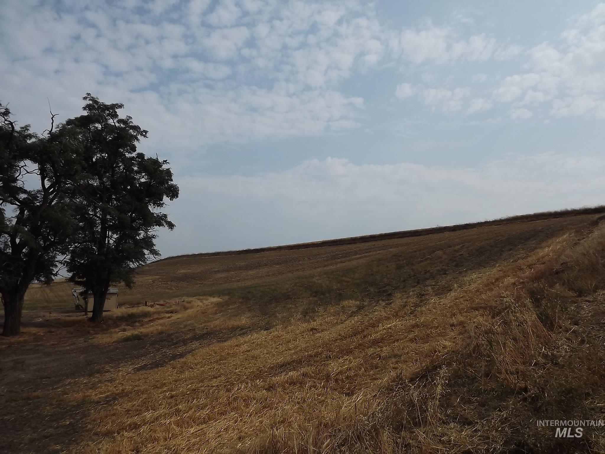 19104 Webb Road Lapwai, ID 83540 - Photo 3 of 17