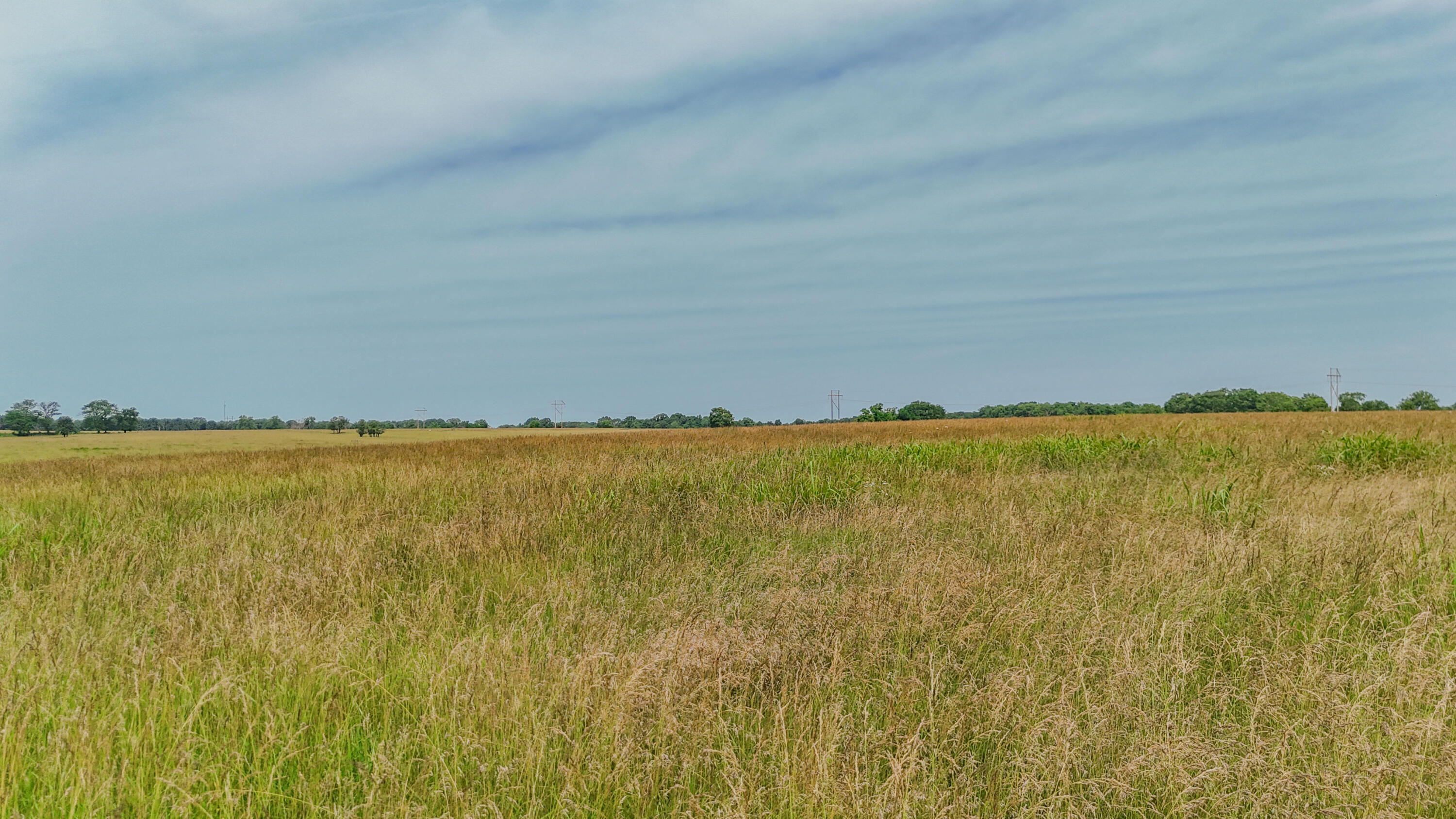 9661 East 1070th Road Stockton, MO 65785 - Photo 18 of 31 IMG__50