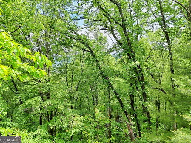 $38,000 | 0 Alto Lane, Rabun Gap, GA 30568