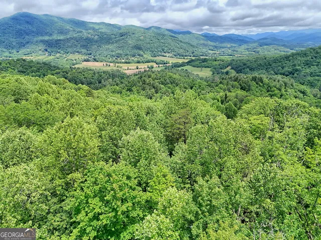 $38,000 | 0 Alto Lane, Rabun Gap, GA 30568