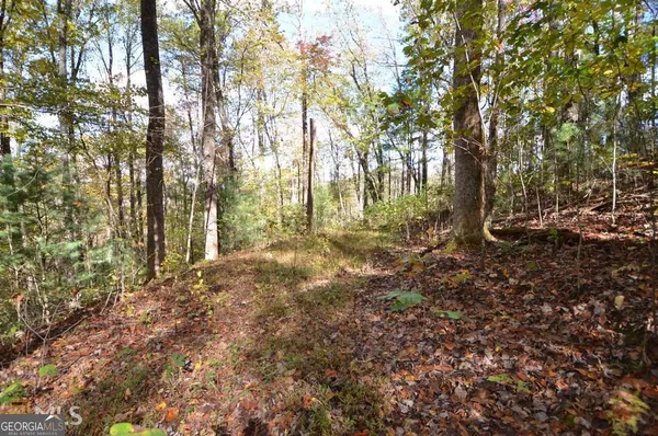 $38,000 | 0 Alto Lane, Rabun Gap, GA 30568