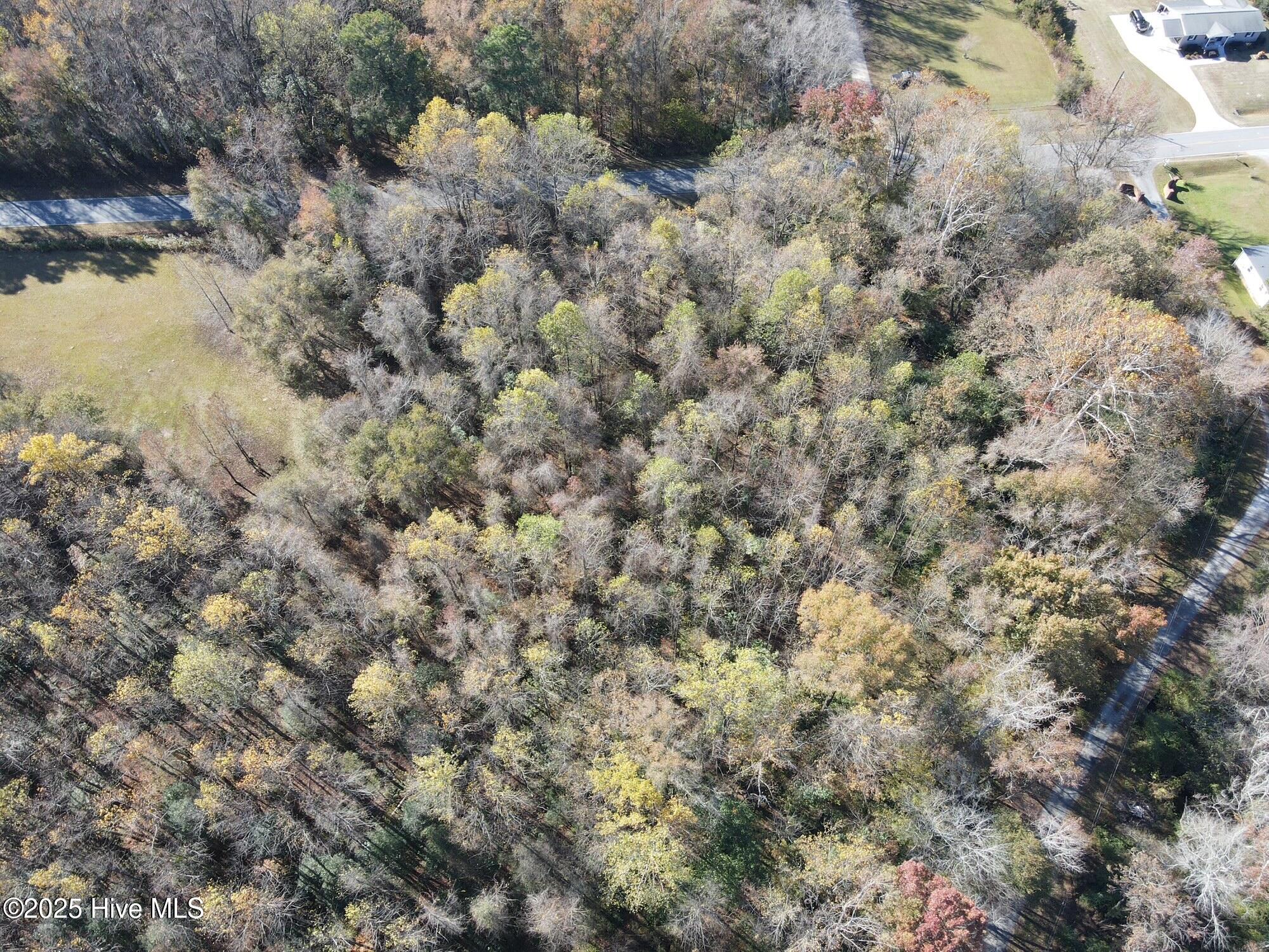 Lot 1 Alton Phillips Road Kinston, NC 28504 - Photo 3 of 6 Looking West