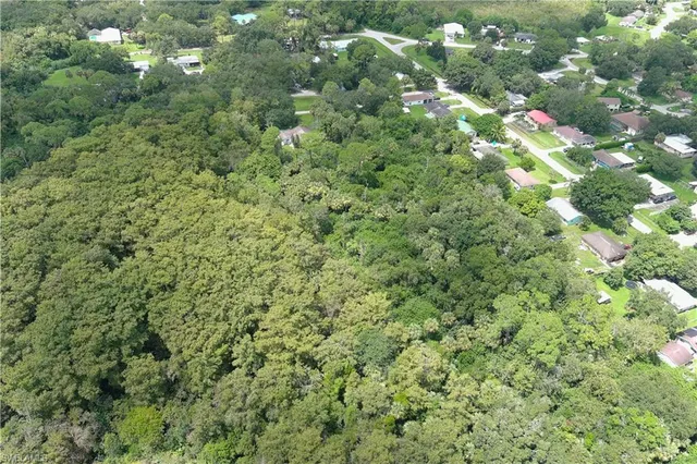 a view of a forest with a street