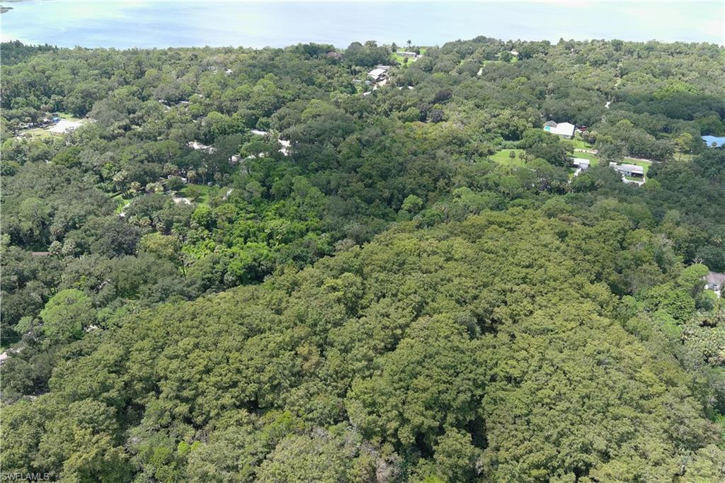 5101 Winston Road Immokalee, FL 34142 - Photo 5 of 10 a view of a forest with a street